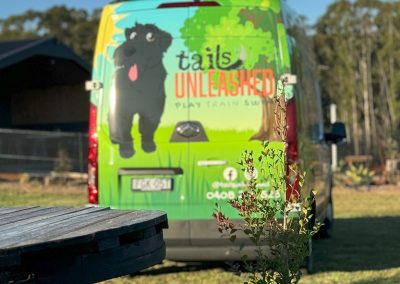 Dog Day Care Port Macquarie
