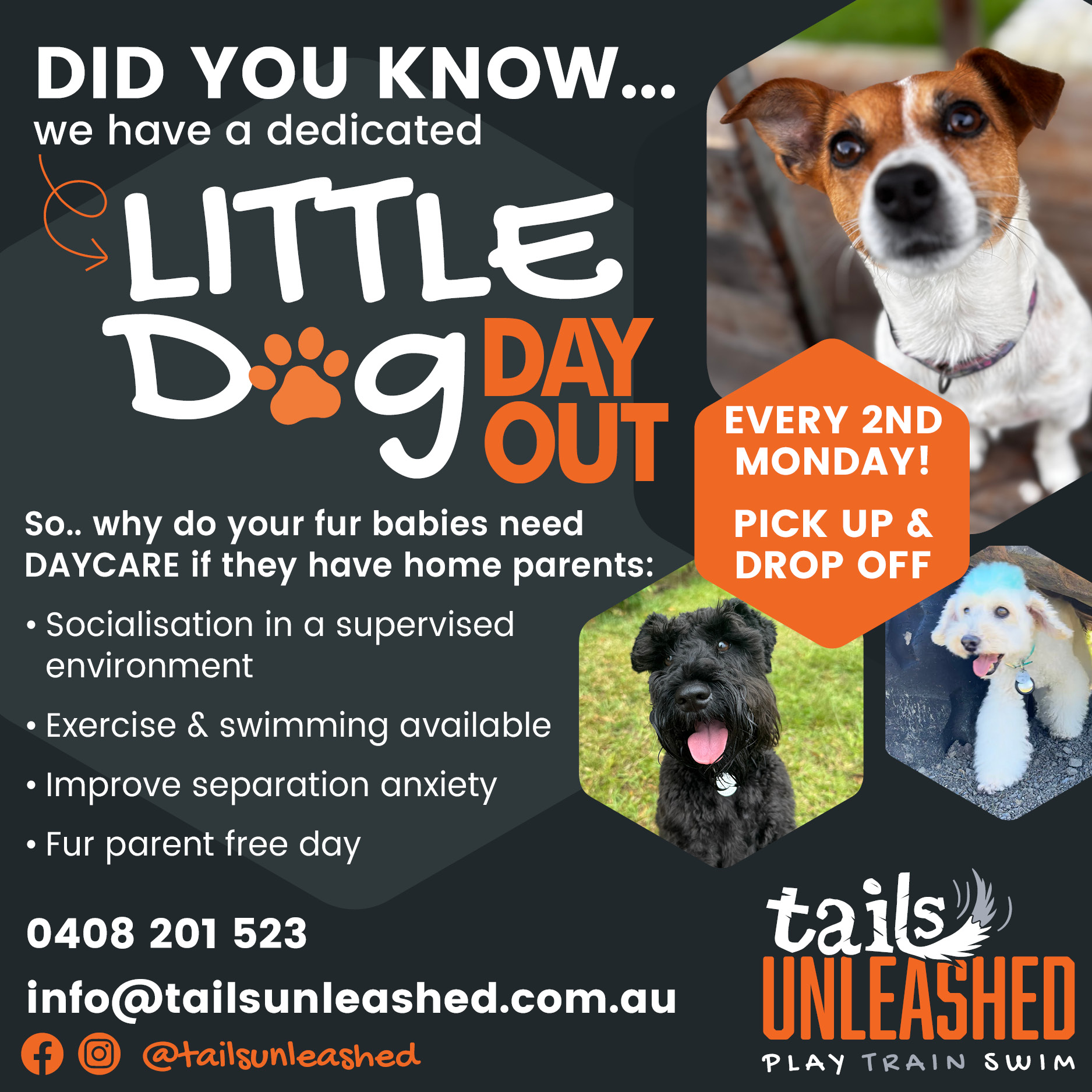 Tails_Unleashed_LDDO_DidYouKnow